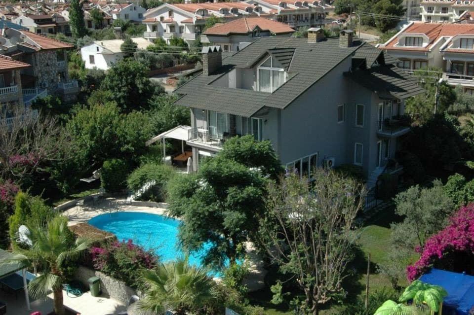Sophia Villa *